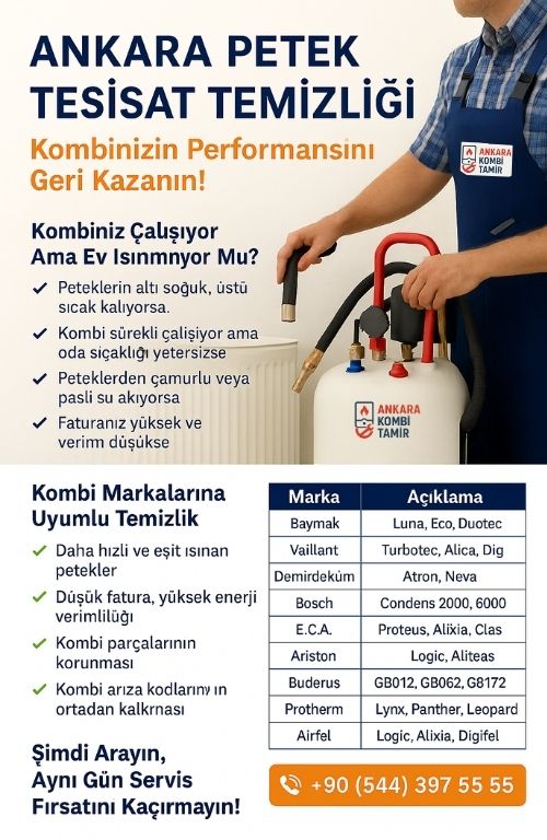 Ankara Petek Tesisat Temizliği